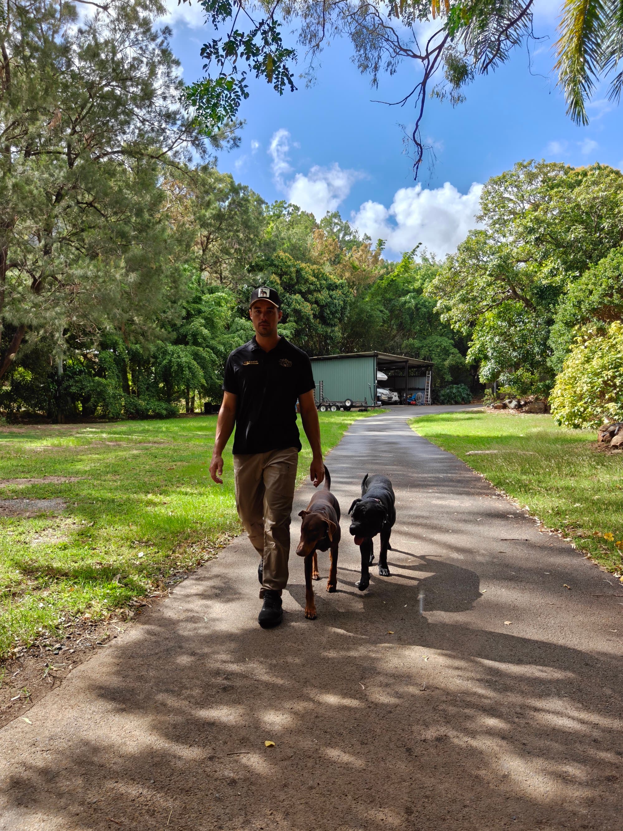 Tyler walking two dogs on a loose lead down a leafy driveway